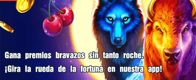 Apuestas en vivo desde Perú